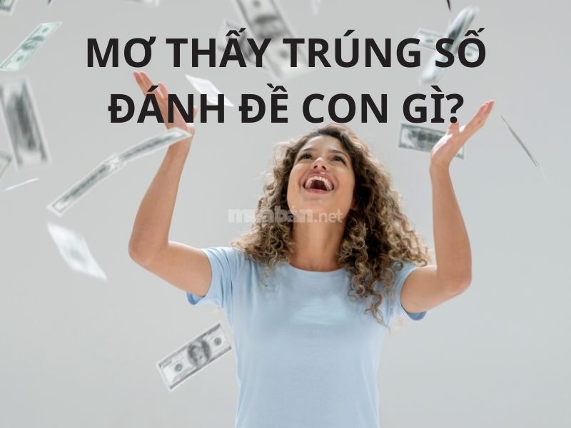 Giải Giấc Mơ Số Đề: Dự Báo Con Số May Mắn Theo Giấc Mơ