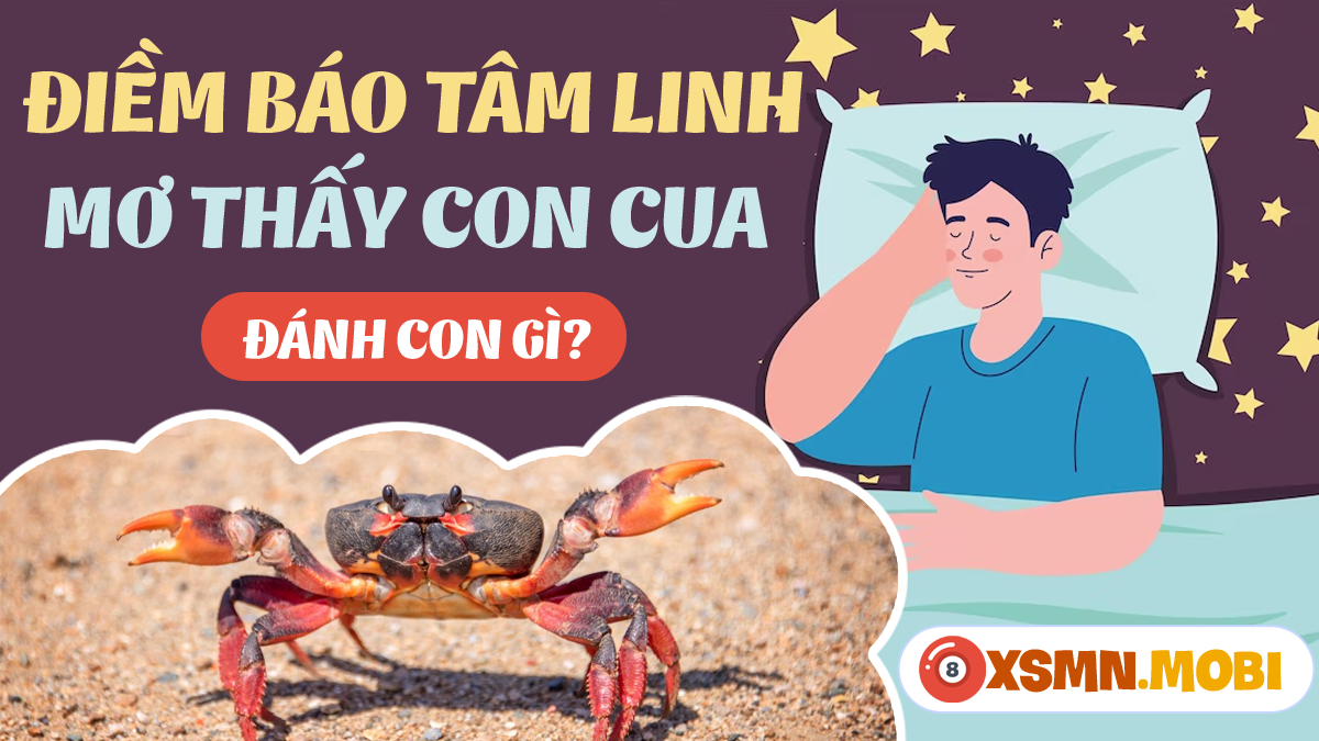 Mơ thấy cua là điềm báo gì? Giải mã giấc mơ và con số may mắn