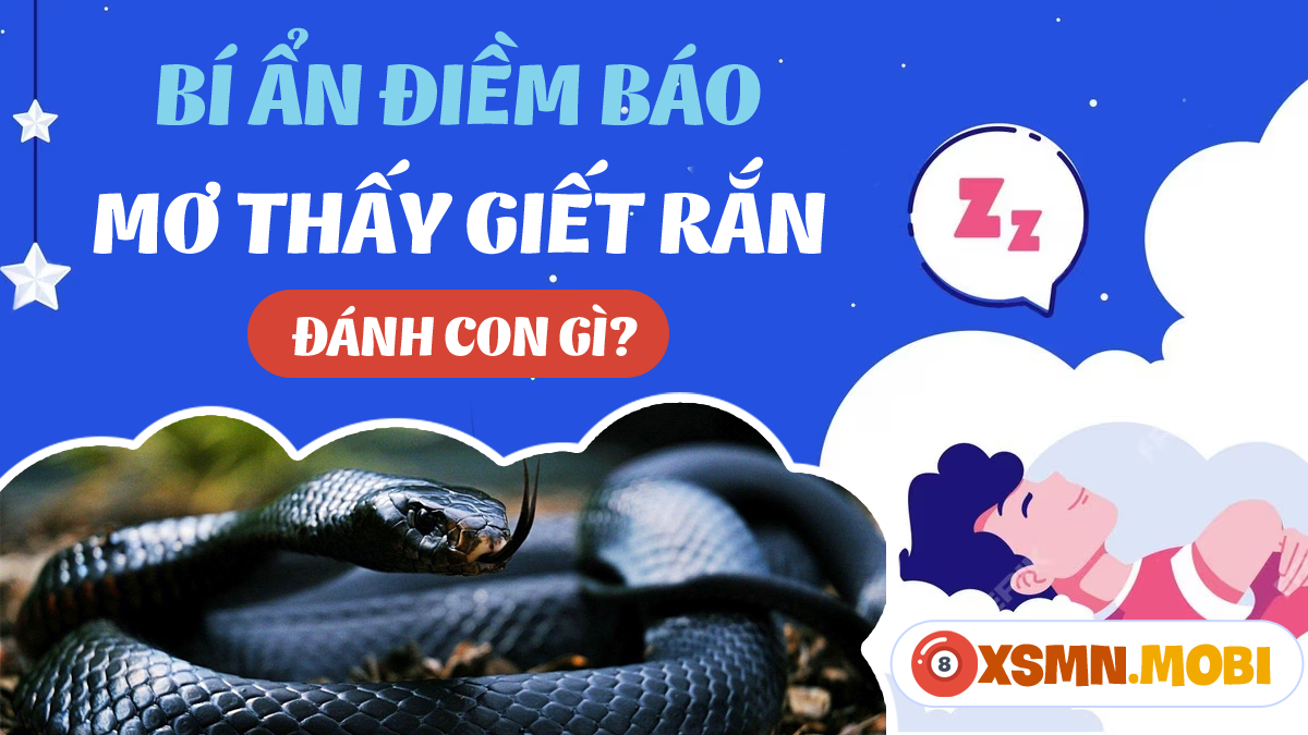 Mơ Thấy Giết Rắn: Giải Mã Ý Nghĩa Và Con Số May Mắn