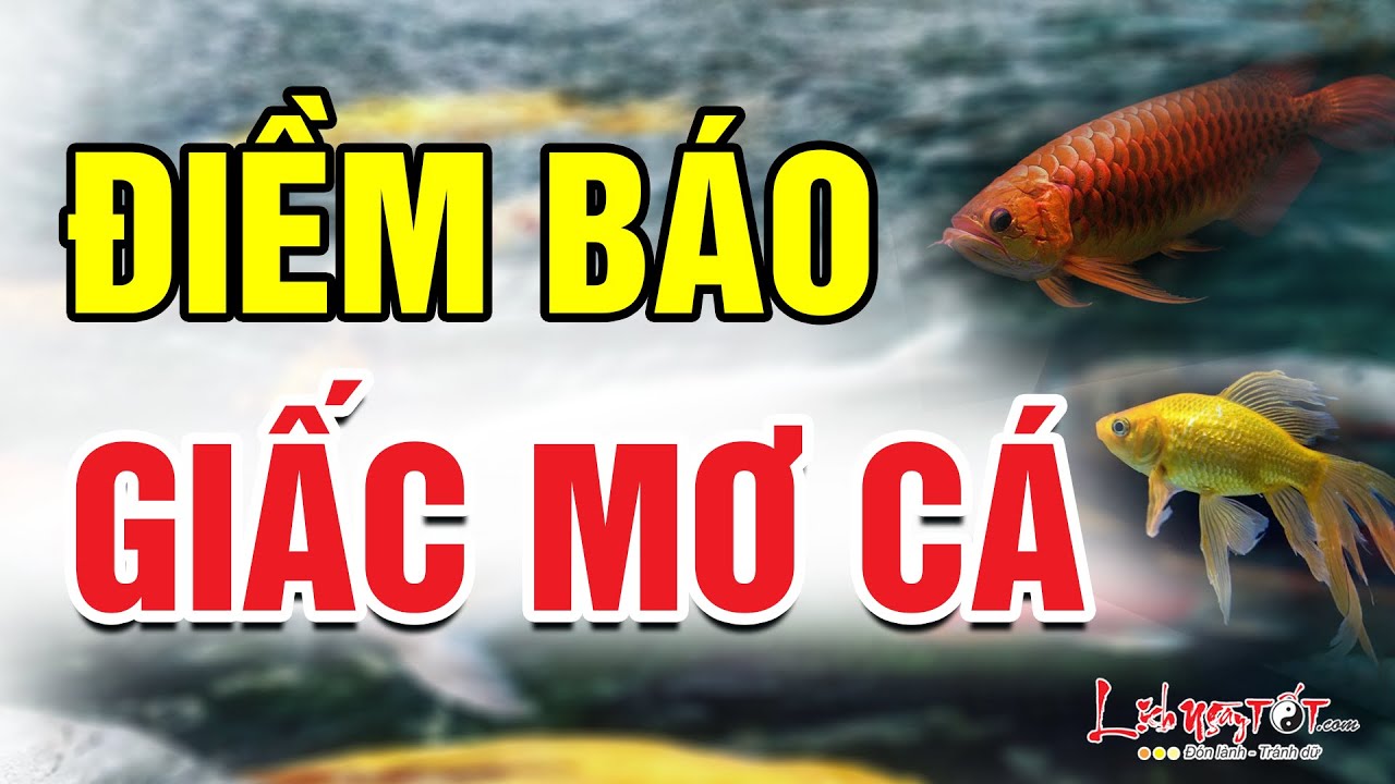 Nằm Mơ Bắt Cá Trê Lành Hay Dữ? Xem Ngay Con Số Đề Đánh Lộc Tài