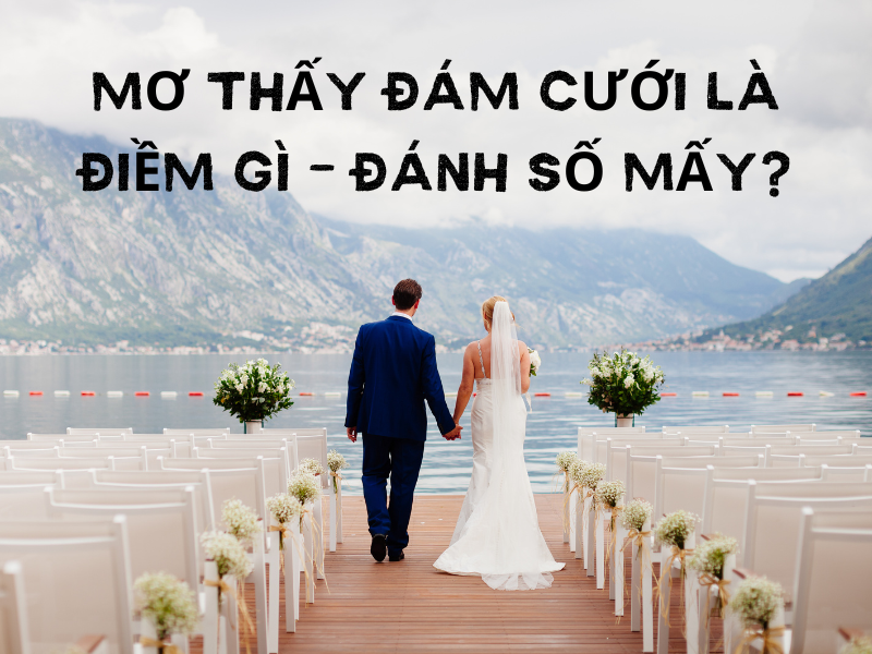 Nằm Mơ Lấy Vợ 2 Là Điềm Báo Gì? Cùng Tìm Hiểu Con Số May Mắn