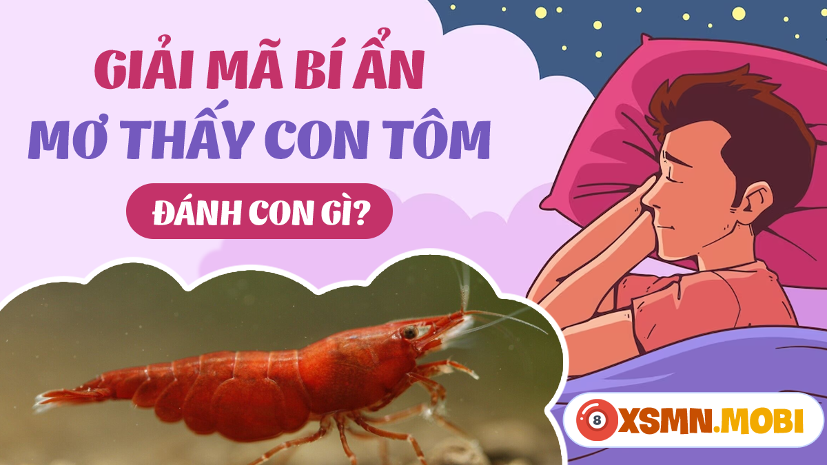 Nằm Mơ Thấy Tôm: Giải Mã Giấc Mơ Và Những Con Số May Mắn