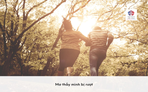 Mơ thấy mất quần áo: Giải thích ý nghĩa và các con số liên quan