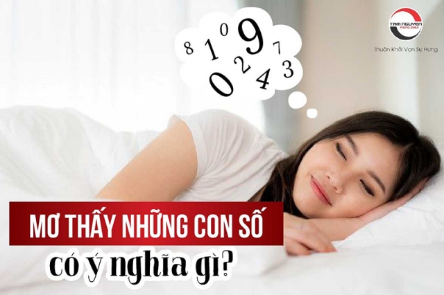 Giải Giấc Mơ Số Đề: Dự Báo Con Số May Mắn Theo Giấc Mơ