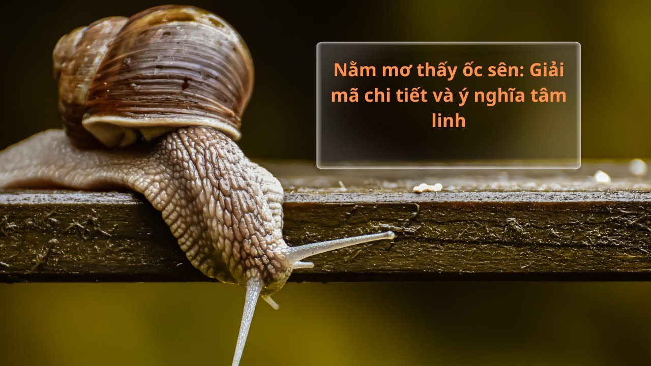 Nằm mơ thấy ốc sên có ý nghĩa gì? Khám phá điềm báo và con số thần thoại