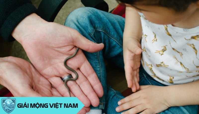 Nằm Mơ Bắt Rắn: Điềm Báo Thành Công và Sự Nghiệp Phát Đạt