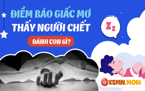 Nằm Mơ Thấy Chém Nhau Đánh Con Gì? Giải Mã Điềm Báo và Con Số May Mắn