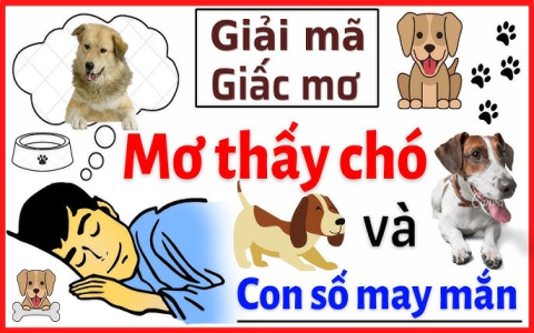 Nằm Mơ Chó Cắn Là Điềm Báo Gì? Giải Mã Giấc Mơ Chó Cắn