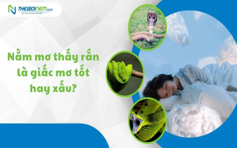 Nằm Mơ Thấy Con Gái Bị Rắn Cắn: Điềm Lành Hay Dữ?