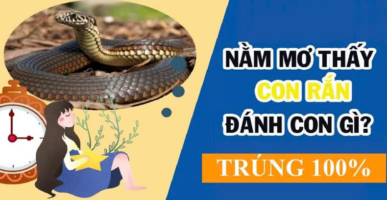 Giải mã giấc mơ thấy rắn và các con số may mắn liên quan