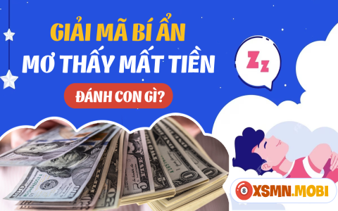 Nằm Mơ Thấy Phân Người: Dự Báo Về Tiền Tài, Sự Nghiệp?