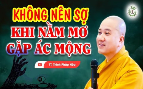 Nằm Mơ Gặp Lại Bạn Cũ: Điềm Báo Tốt Hay Xấu?