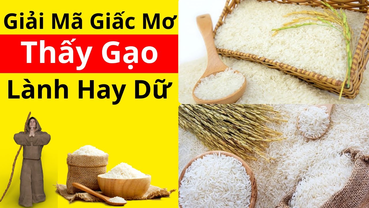 Nằm mơ thấy gạo là điềm lành hay dữ? Khám phá ý nghĩa