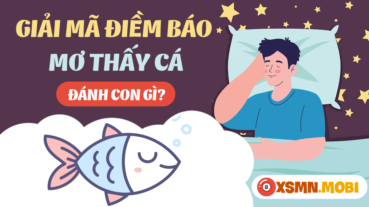 Nằm Mơ Thấy Cá Trê Đánh Số Mấy? Giải Mã Giấc Mơ Và Những Con Số May Mắn