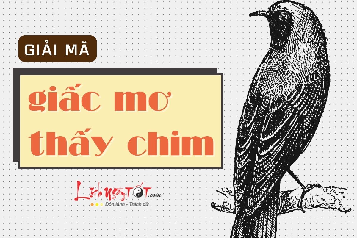 Ý Nghĩa Của Giấc Mơ Thấy Chim Bay Trên Trời: Tự Do, Hy Vọng Và Thành Công