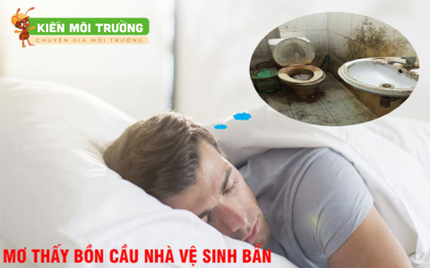 Nằm mơ thấy chim là điềm gì? Chuyên gia giải mã giấc mơ chi tiết