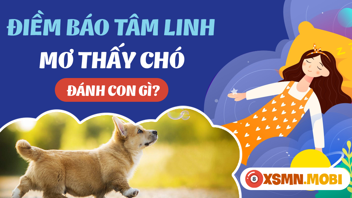 Nằm mơ thấy nhiều chó con đánh con gì? Đánh đề số mấy dễ trúng?