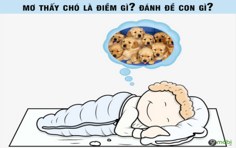 Nằm mơ thấy nhiều chó con đánh con gì? Đánh đề số mấy dễ trúng?