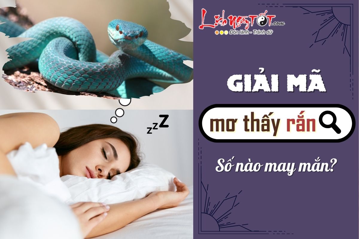 Nằm mơ thấy giết rắn là điềm gì? Giải mã giấc mơ cực chuẩn