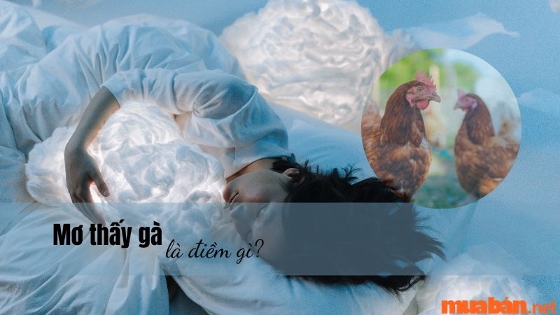 Mơ thấy gà con là điềm gì (giải mã giấc mơ chi tiết)