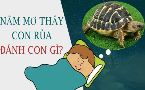 Nằm mơ không nhớ đánh đề con gì? Điềm báo và con số may mắn hôm nay