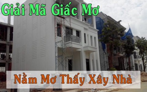 Nằm mơ thấy vé số đánh con gì? Kinh nghiệm từ người chơi lâu năm