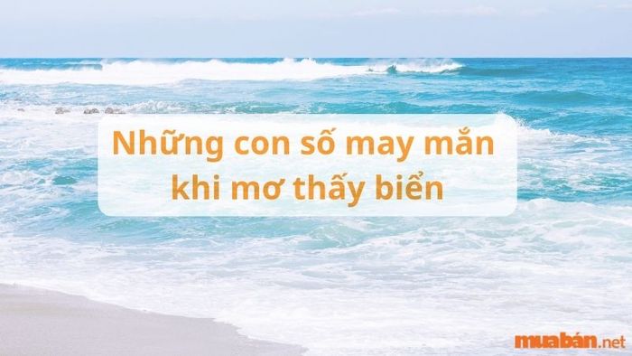 Giải mã giấc mơ thấy biển: Ý nghĩa và con số may mắn liên quan