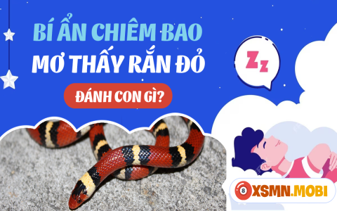 Nằm mơ thấy rắn rượt: Báo hiệu điềm gì trong tương lai gần?