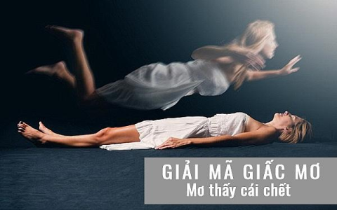 Giải mã giấc mơ thấy cá to: Điềm báo tài lộc hay xui xẻo?