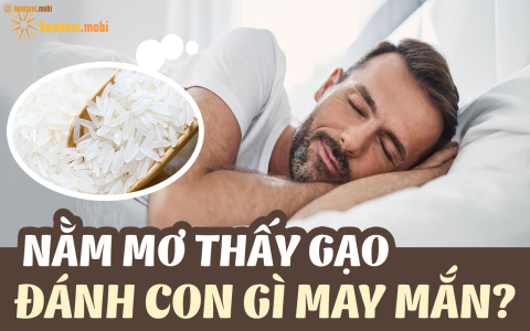 Nằm mơ thấy nấu cơm trắng có ý nghĩa gì? (Giải mã giấc mơ chiêm bao)