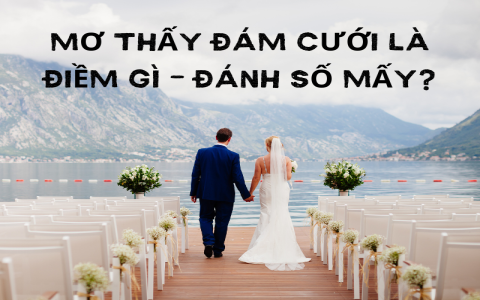 Nằm mơ thấy xe tải đánh số mấy? Giải mã giấc mơ, tìm số may mắn!