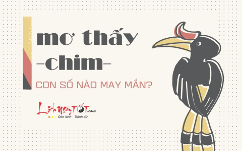 nằm mơ thấy bắt lươn đánh con gì? Giải mã giấc mơ!