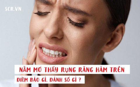 Nằm mơ đánh xóc đĩa đánh con gì? Ý nghĩa điềm báo là gì?