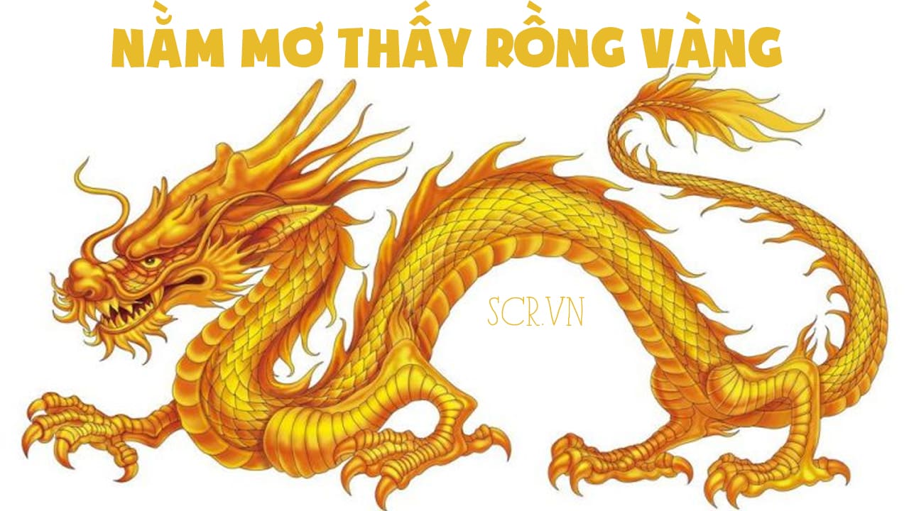 nằm mơ thấy rồng vàng bay trên trời điềm gì?