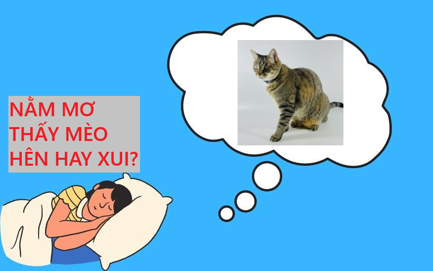 Giải mã giấc mơ: Nằm mơ thấy mèo vào nhà hên hay xui?