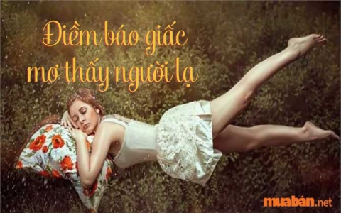 Nằm mơ thấy đi du lịch cùng gia đình có phải điềm lành không?