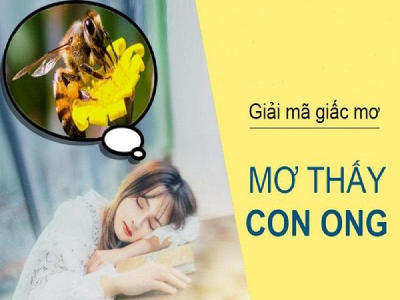 Nằm mơ thấy rất nhiều tổ ong (Giải mã giấc mơ chi tiết nhất)