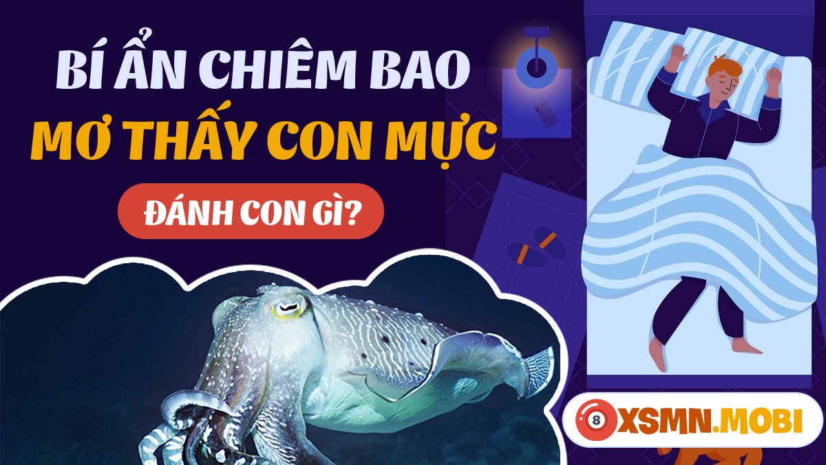 Điềm báo gì khi nằm mơ thấy con mực? Tìm hiểu ngay để biết thêm chi tiết!