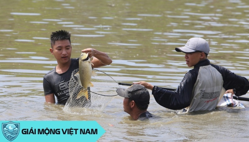 Nằm mơ bắt được cá đánh con gì? Tổng hợp kinh nghiệm dân gian cực chuẩn!