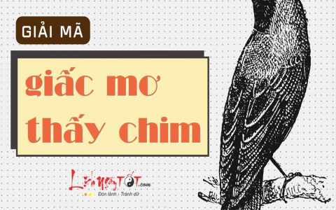 nằm mơ thấy rắn màu đỏ đánh số mấy? Bí kíp cho người chơi lô đề!