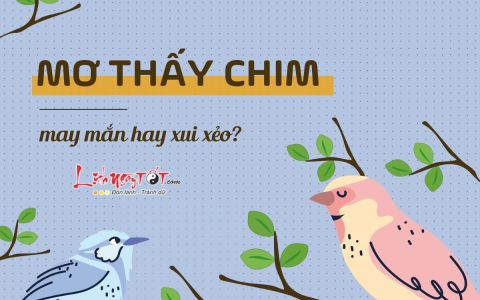 Nằm mơ thấy mổ lợn hên hay xui? (Chuyên gia phong thủy giải đáp)