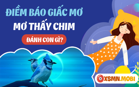 Nằm mơ thấy đàn gà con mới nở và những con số may mắn bạn nên biết!