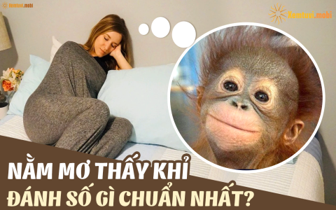 nằm mơ thấy ớt đỏ đánh số gì? Bí kíp chọn số may mắn!