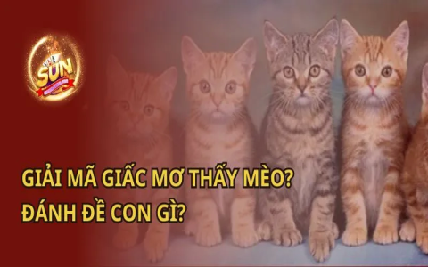 Giải mã giấc mơ: Nằm mơ thấy cắt có ý nghĩa gì trong cuộc sống?