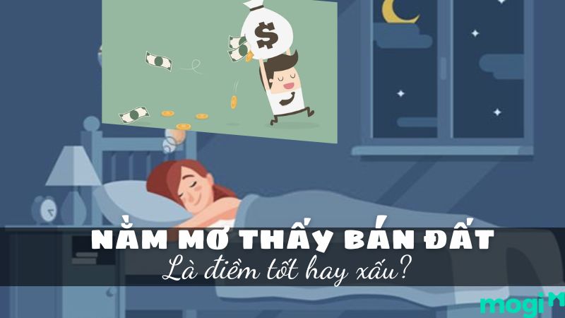 Điềm báo gì khi nằm mơ thấy bán đất? Đánh con gì để phát tài?