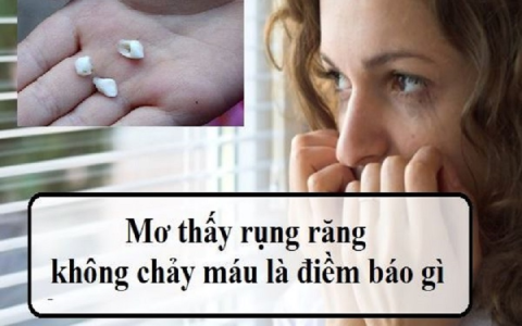 nằm mơ thấy sách là tốt hay xấu (Giải mã chi tiết giấc mơ)