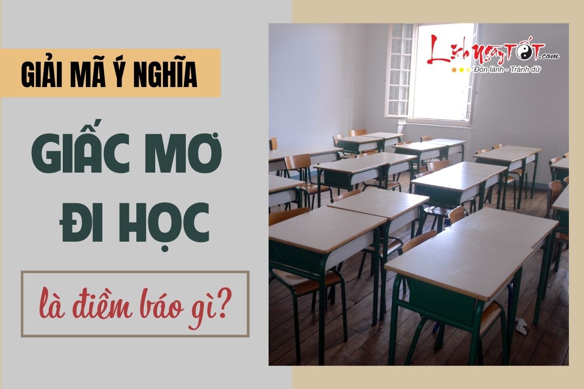 Bạn nằm mơ đi học?Cùng chuyên gia giải mã giấc mơ này nhé!