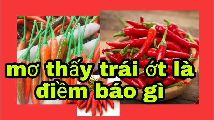 nằm mơ thấy ớt đỏ đánh số gì? Bí kíp chọn số may mắn!