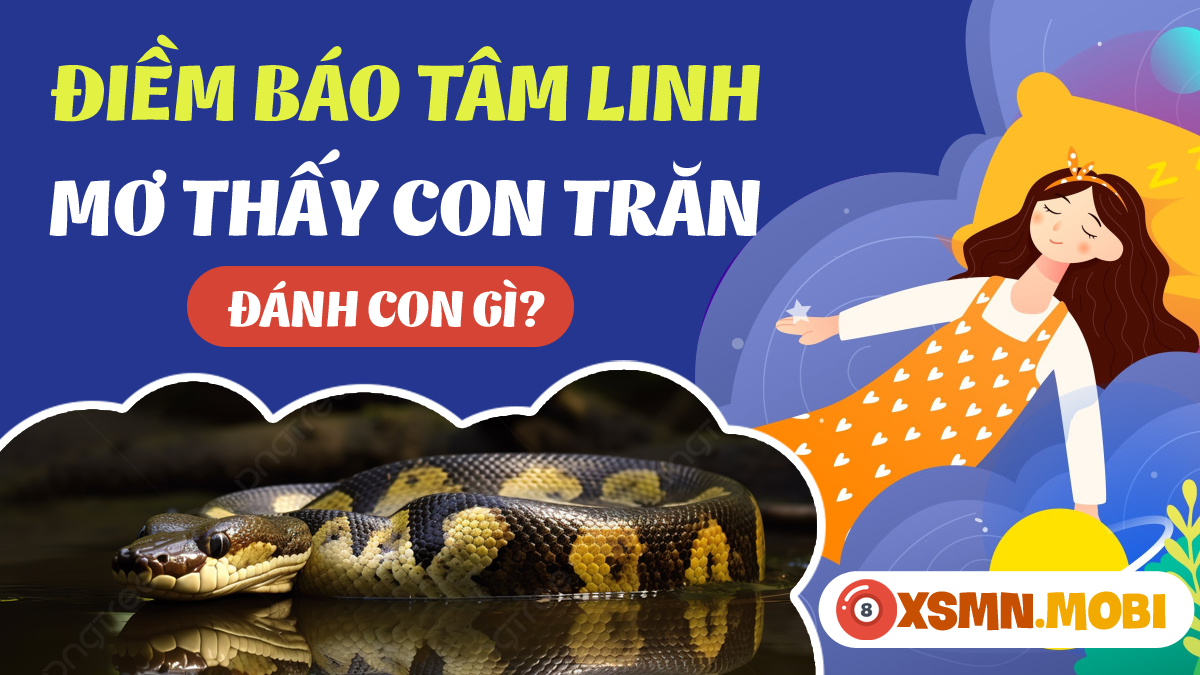 nằm mơ thấy con trăn to: Hên hay xui? (Luận giải theo tâm linh)