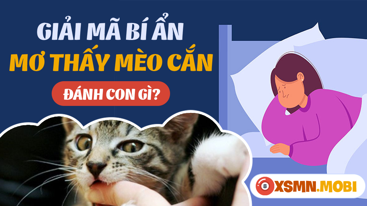 nằm mơ thấy mèo cắn chảy máu đánh số mấy (May mắn hay xui xẻo)